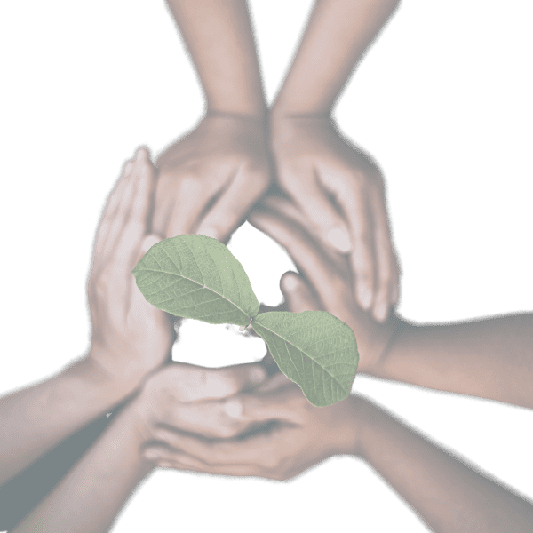 Podrás elaborar tu propio árbol · Curso Profesional de Árbol Transgeneracional
